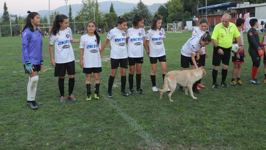 Sahaya giren davetsiz misafir yüzleri güldürdü