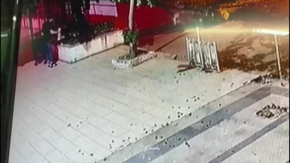 Gizemli kedi hastalığı ülkeyi karıştırdı Son dakika dünya haberleri