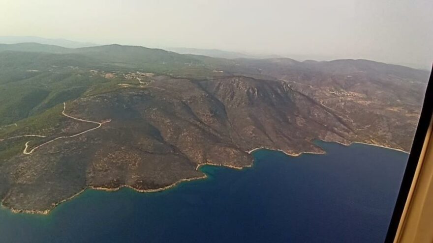 Muğla’da alevler ormanları yuttu! Milas simsiyah oldu