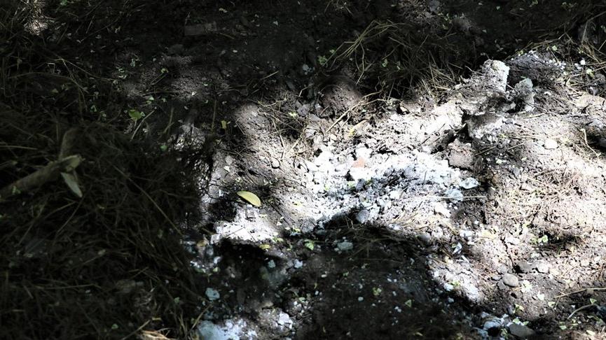 Bahçesinde 10 ölü köpek bulunan kadına gözaltı