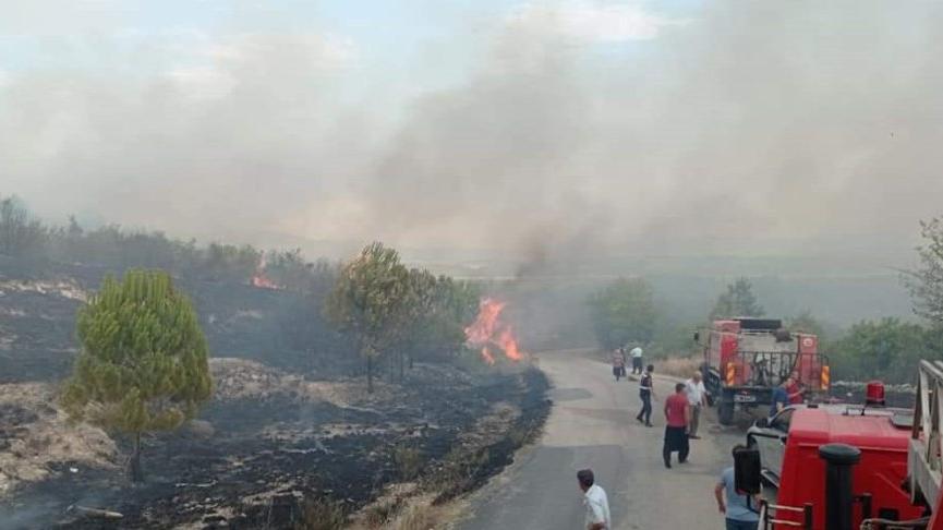 Yıldırımlar 4 noktada orman yangınına neden oldu