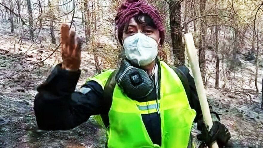 Mehtap Bayri: Ormanları yakanları unutmayalım