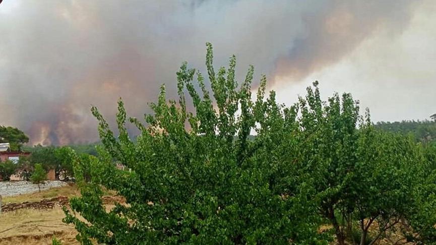 Aydın Valisi Aksoy’dan sabotaj açıklaması