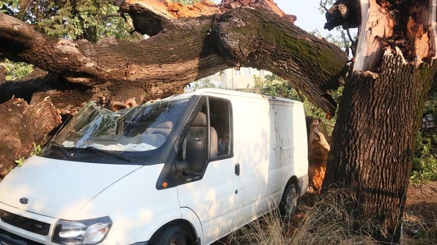 300 yıllık meşe ağacı fırtınada aracın üzerine devrildi