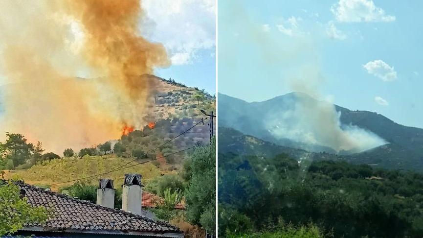 Karacasu’da zeytinlik yangını! Alevler ormanı tehdit ediyor