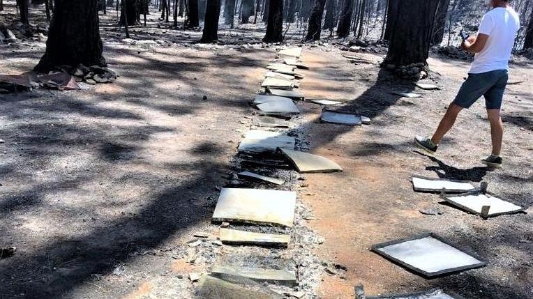 Ormanlarla birlikte milyonlarca arı kolonisi de yandı