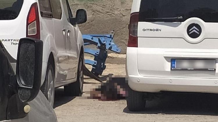 Canlı bomba son anda etkisiz hale getirildi