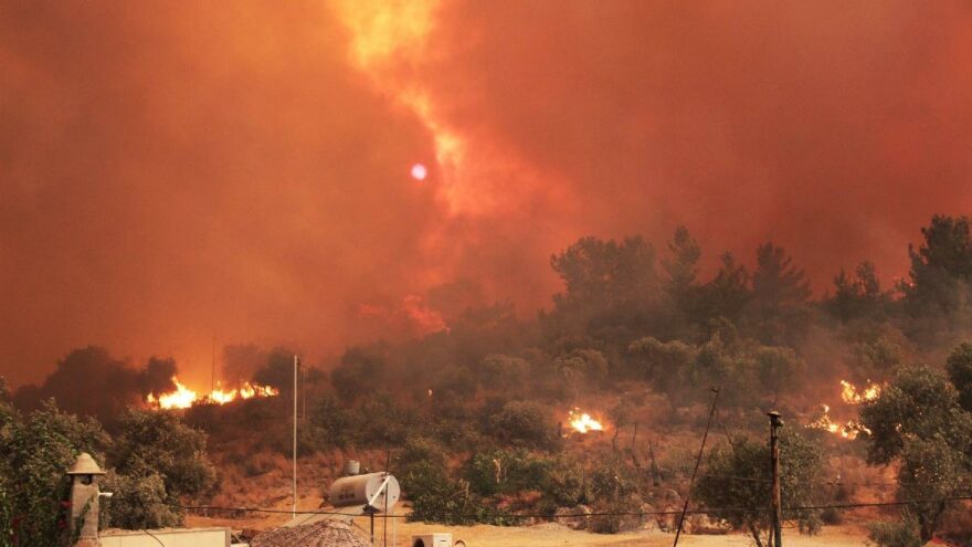 Muğla’da orman yangınlarının bilançosu ortaya çıktı