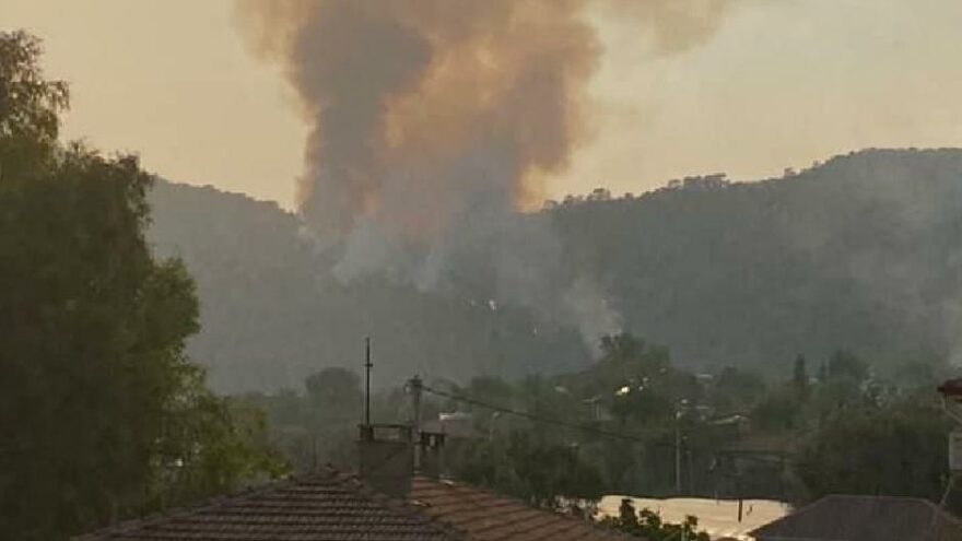 Muğla’da bir orman yangını daha