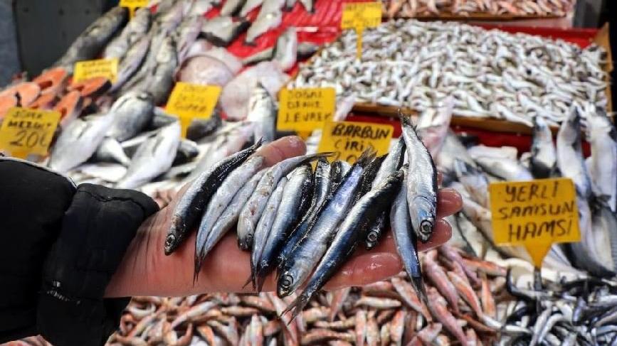 ‘Bu sene palamut yerine hamsinin senesi olacak’