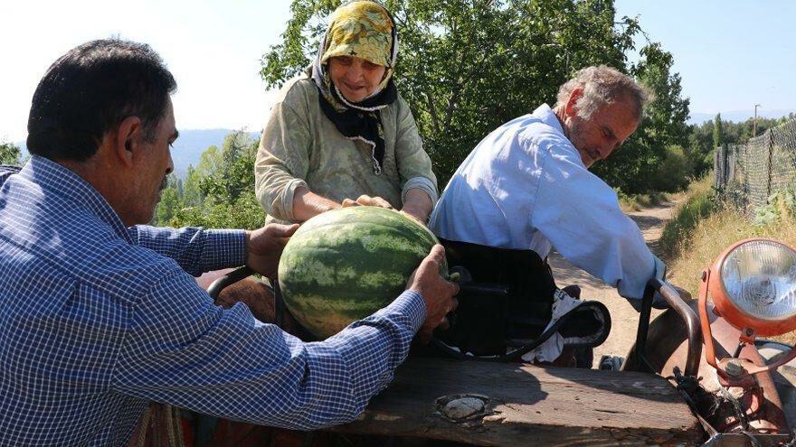 Yetiştirdiği meyve ve sebzeleri herkese ücretsiz dağıtıyor