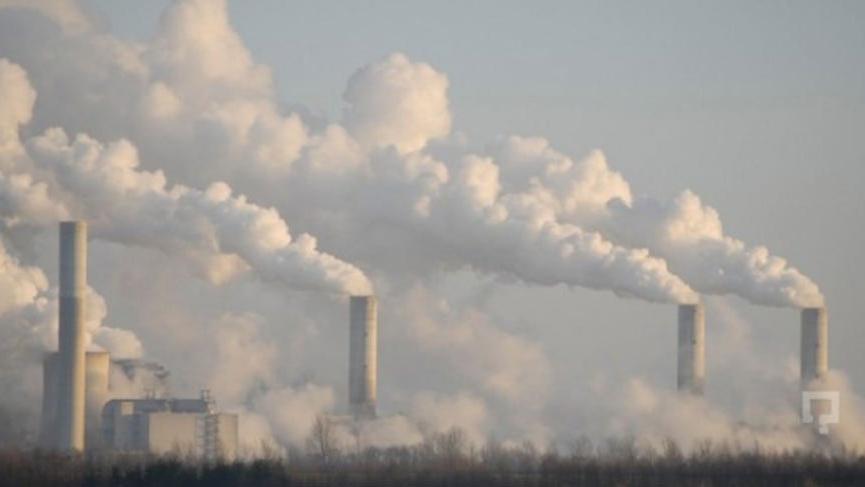 IPCC Raporu: 255 bin ölüm önlenebilir