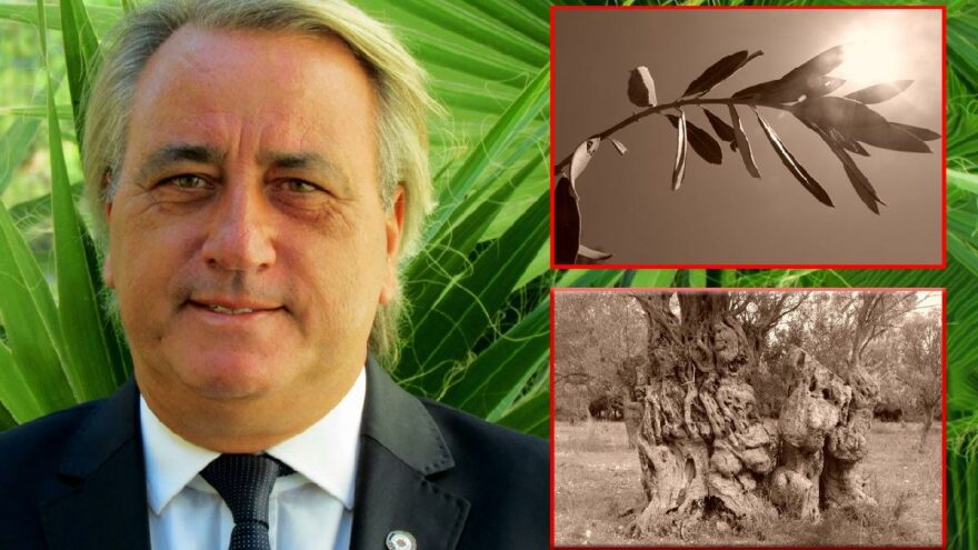 Korcan Karar fotoğrafladı, yangınlarda mücadele eden orman işçilerine ithaf etti