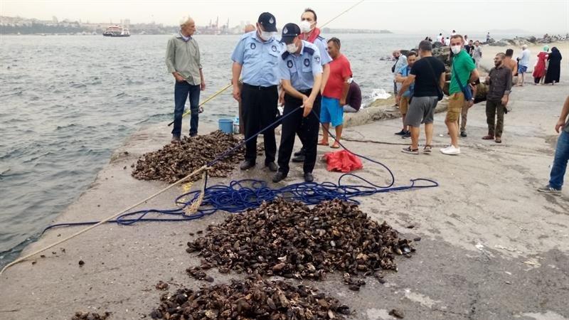 Kaçak avlanan yarım ton midye denize bırakıldı
