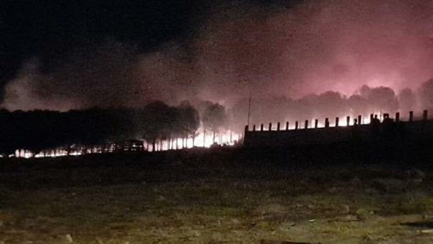 İzmir’de orman yangını