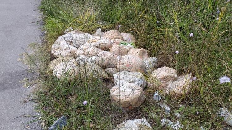 Yol kenarına dökülen bozuk turşular mahallenin kabusu oldu