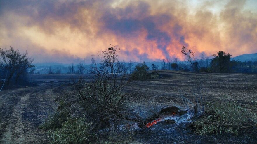 İklim krizinin yıkıcı etkisi… Yangında yok olan alan 13 yıllık ortalamanın üzerinde 