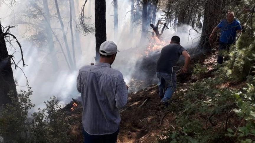 İzmir’de yangınlara sivil müdahale için ‘Orman Gönüllüleri Ekibi’ kuruluyor