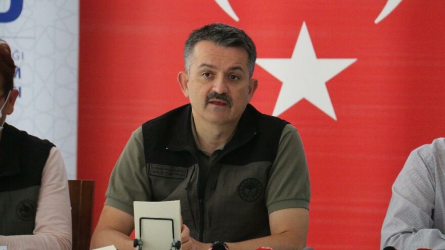 Bekir Pakdemirli: Yıl bitmeden 252 milyon fidan dikeceğiz