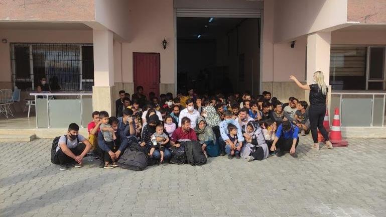 Meyve kasalarının arasından 85 düzensiz göçmen çıktı