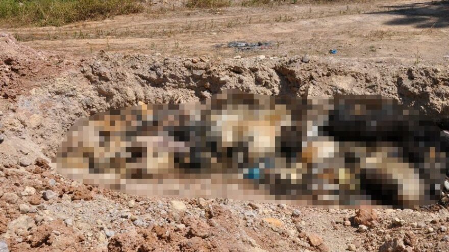 Ekrem İmamoğlu: Asla kabul edemeyiz, soruşturma açıldı