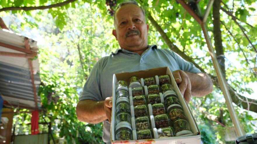 Ömrünü atalık tohumlara adadı