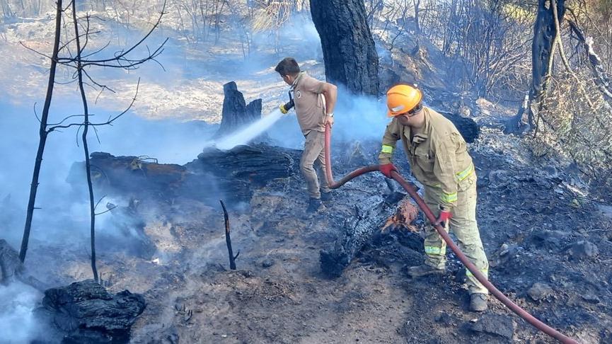 Antalya’da bahçede başlayıp, ormana sıçrayan yangın söndürüldü