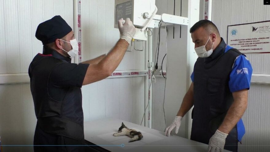 Can dostları sevindiren haber