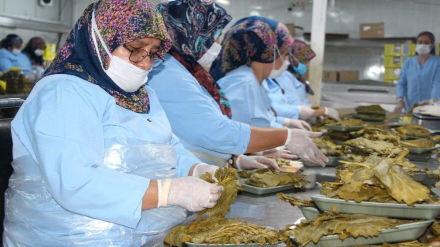 Üzüm yaprağından yılda 90 milyon kazanıyorlar