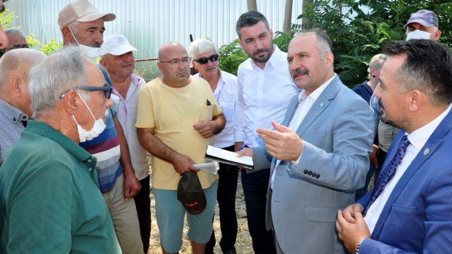 İYİ Partili Usta’dan ‘üzümde rekolteye müdahale ediliyor’ iddiası