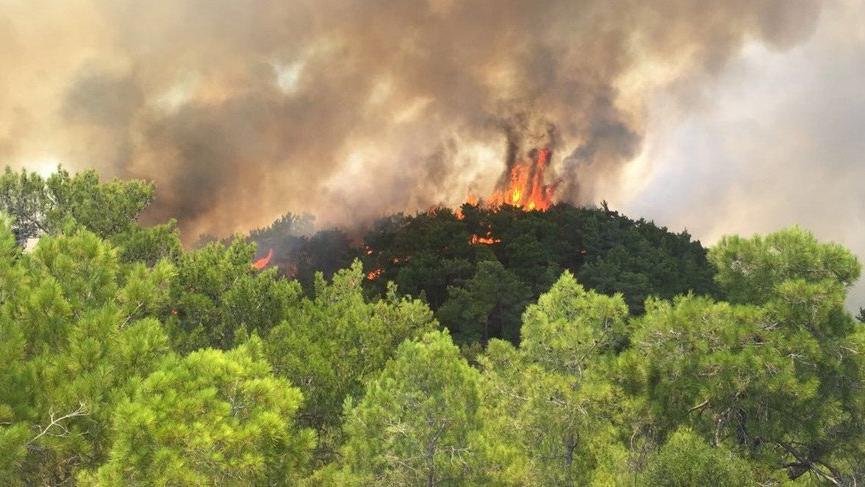 Greenpeace: 250 bin futbol sahası büyüklüğünde orman yandı