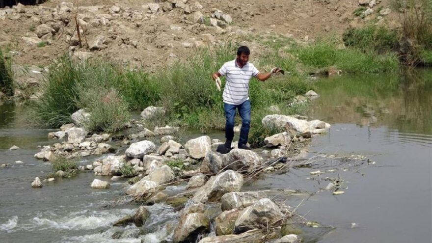 Karasu Nehri’nde neler oluyor?