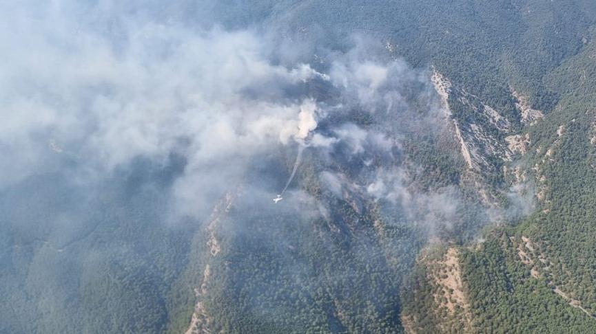 Kazdağı Milli Parkı’ndaki yangını söndürmeye çalışan bir kişiye ayı saldırısı
