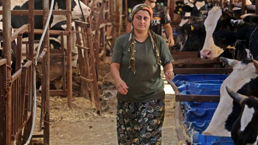 Hırsızlar, 4 bilezikle servet yapan kadının servetine dadandı
