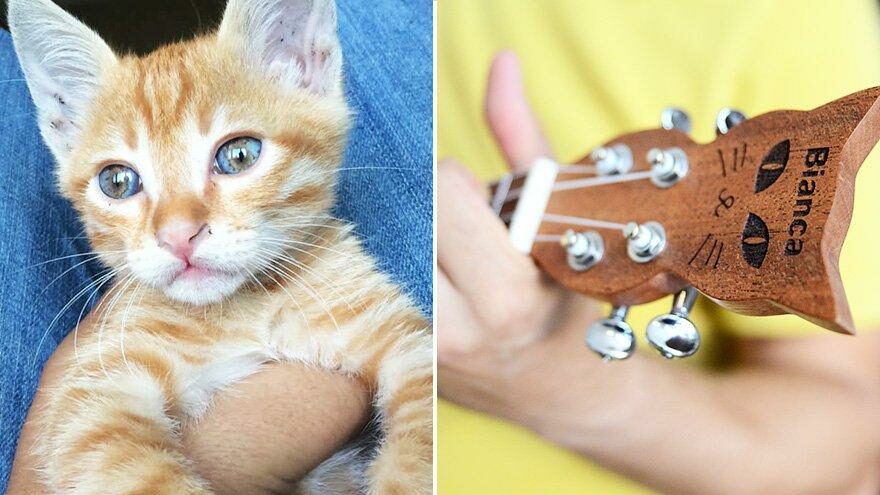 Kaybolan kedisinin anısına özel ukulele üretti