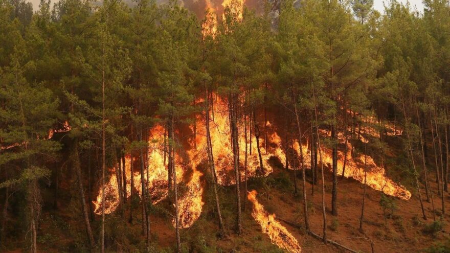 Manavgat yangınında ölü sayısı 8’e çıktı