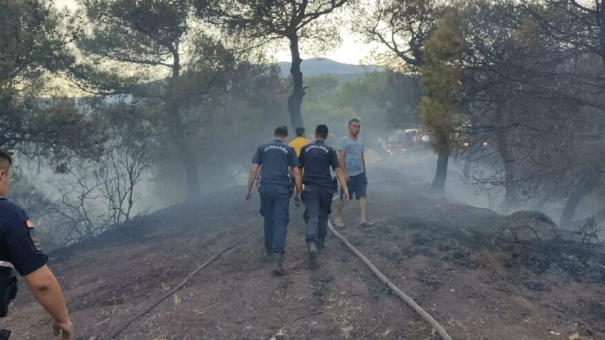 Hatay’da orman yangını