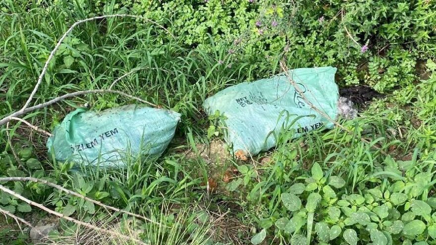 Aynı yere ikinci kez 3 çuval dolusu ölü tavuk attılar