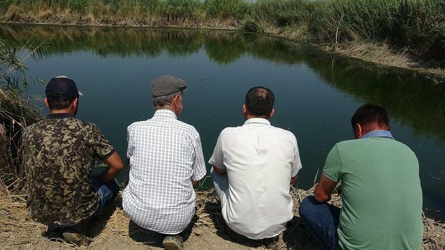 Büyük Menderes’te binlerce balık öldü