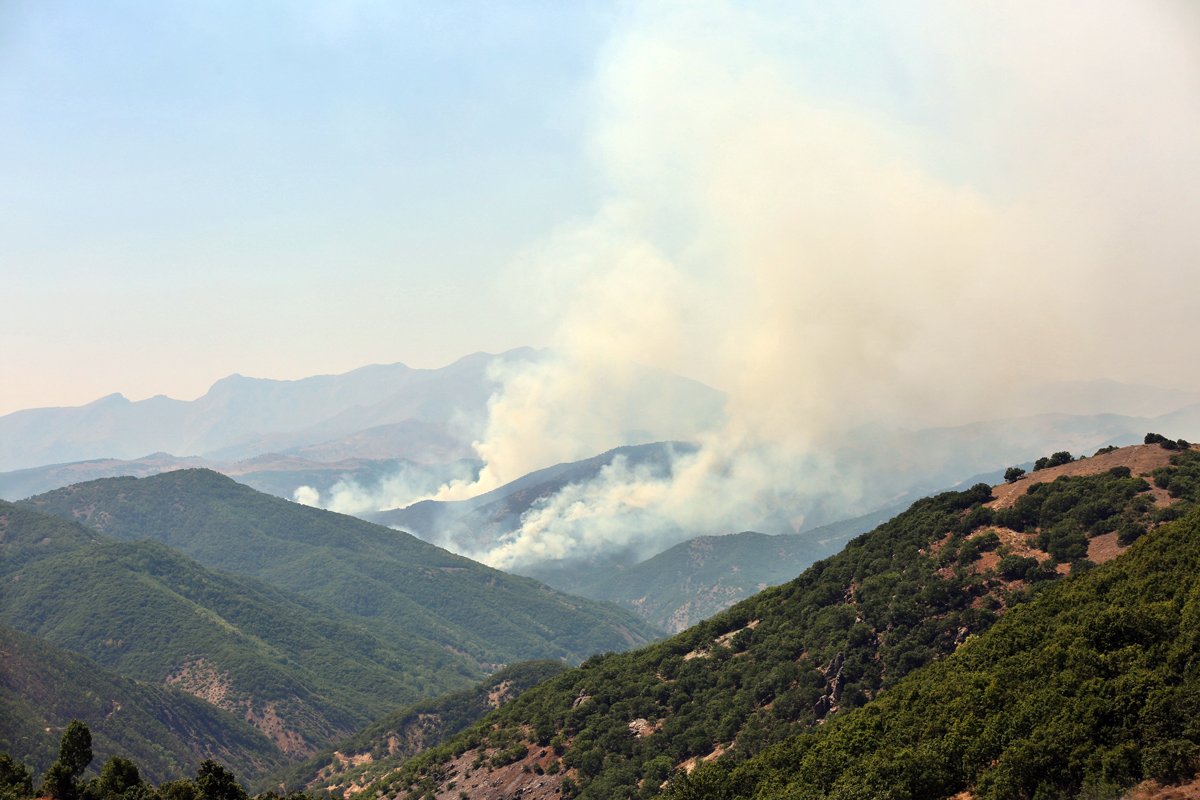 Tunceli’de aynı bölgede yine yangın çıktı - Resim : 1