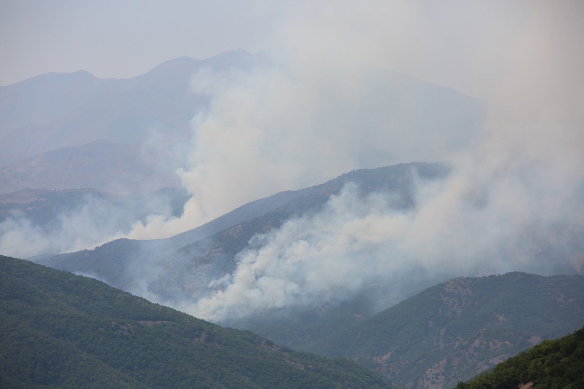 Tunceli’de aynı bölgede yine yangın çıktı - Resim : 2