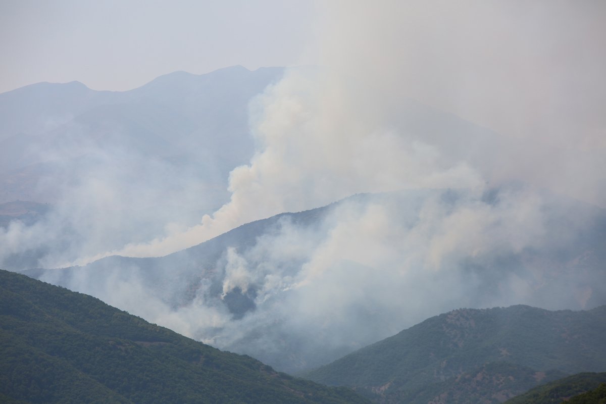 Tunceli’de aynı bölgede yine yangın çıktı - Resim : 3