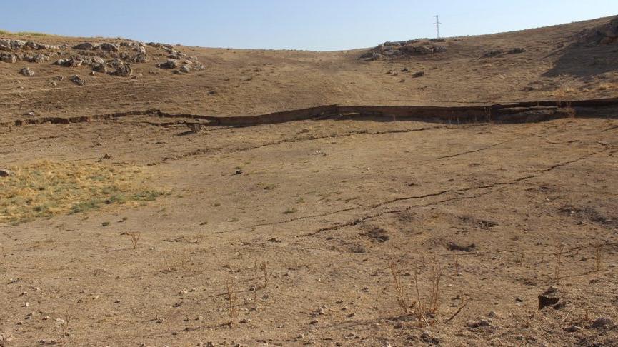 Konya’da telaşlandıran görüntü! Sayıları 600’e ulaşmıştı… ‘İlk defa şahit oluyoruz’