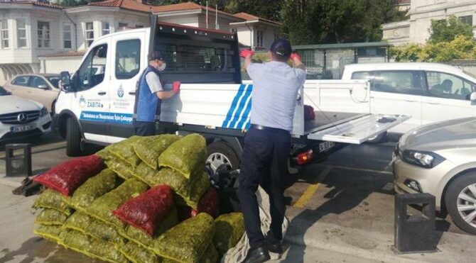 İstanbul'da kaçak 1 ton midye ele geçirildi - Sağlık son dakika haberler - Vimarsana News