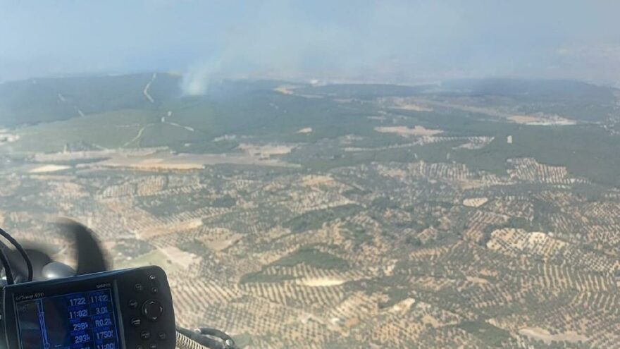 İzmir’de çıkan orman yangını kontrol altına alındı