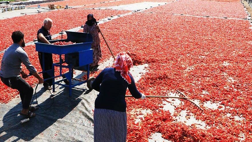 Şanlıurfa’da ‘acı’ zamanı: Her yer kırmızı