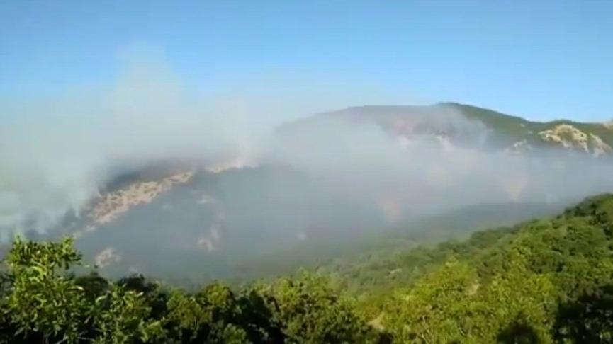 74 barodan Tunceli’deki orman yangını için ortak açıklama