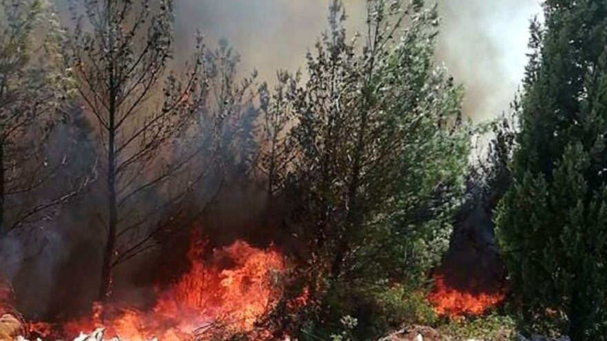 Manisa’da orman yangını