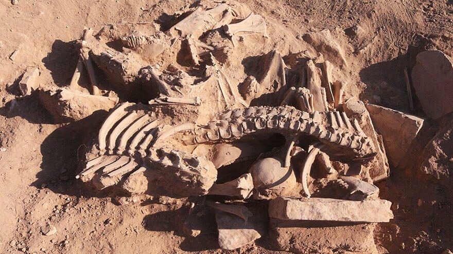 Urartuların ölü gömme geleneğine ışık tutacak keşif