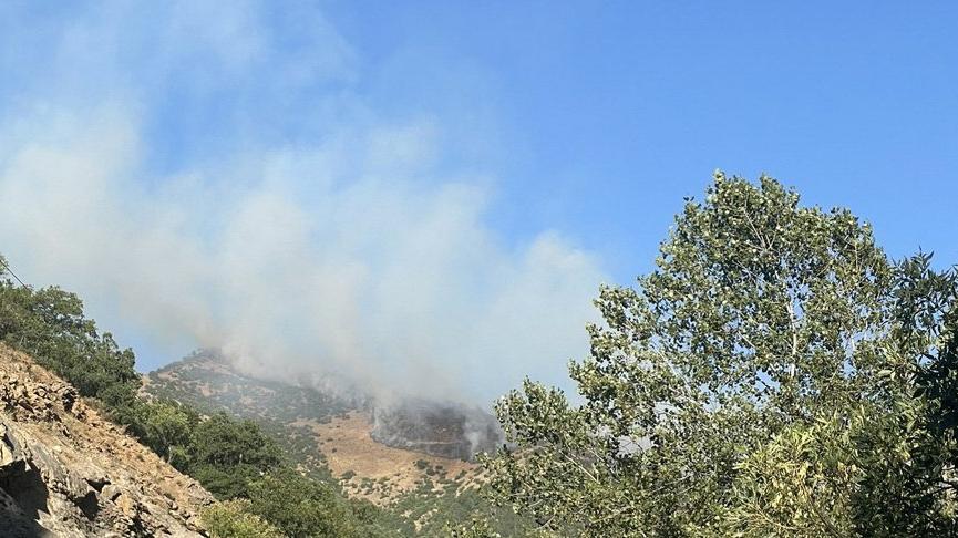 Ovacık Belediye Başkanı: Munzur Vadisi’ndeki yangın kontrol altına alındı